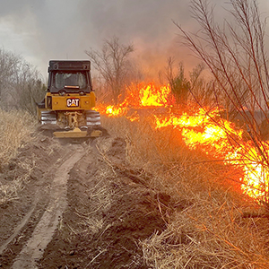 Texas A&M Forest Service raised the Wildland Fire Preparedness Level to Level 2 due to the threat of increased wildfire activity across several regions of the state.